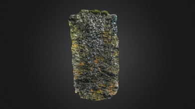 dark lichen - 3d model senyul b1664d2 3d print model - Mito3D