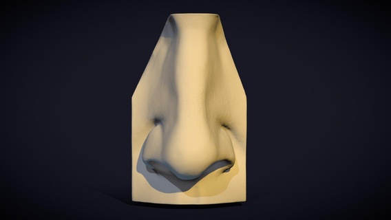david nose nariz - buy royalty free 3d model davida davidav study plastercast michelangelo 3d print model - Mito3D