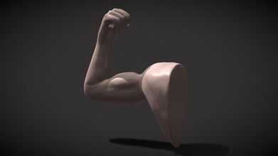 gün 12 unproportional vücut geliştirmeci heykeltraşlık satın almak telif Bedava 3d model Ryan kral Sanat Ryankingart f9f3d7d 3d print model - Mito3D