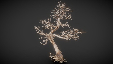 dead bonsai 9 - buy royalty free 3d model polygonal miniatures ee1bae5 3d print model - Mito3D
