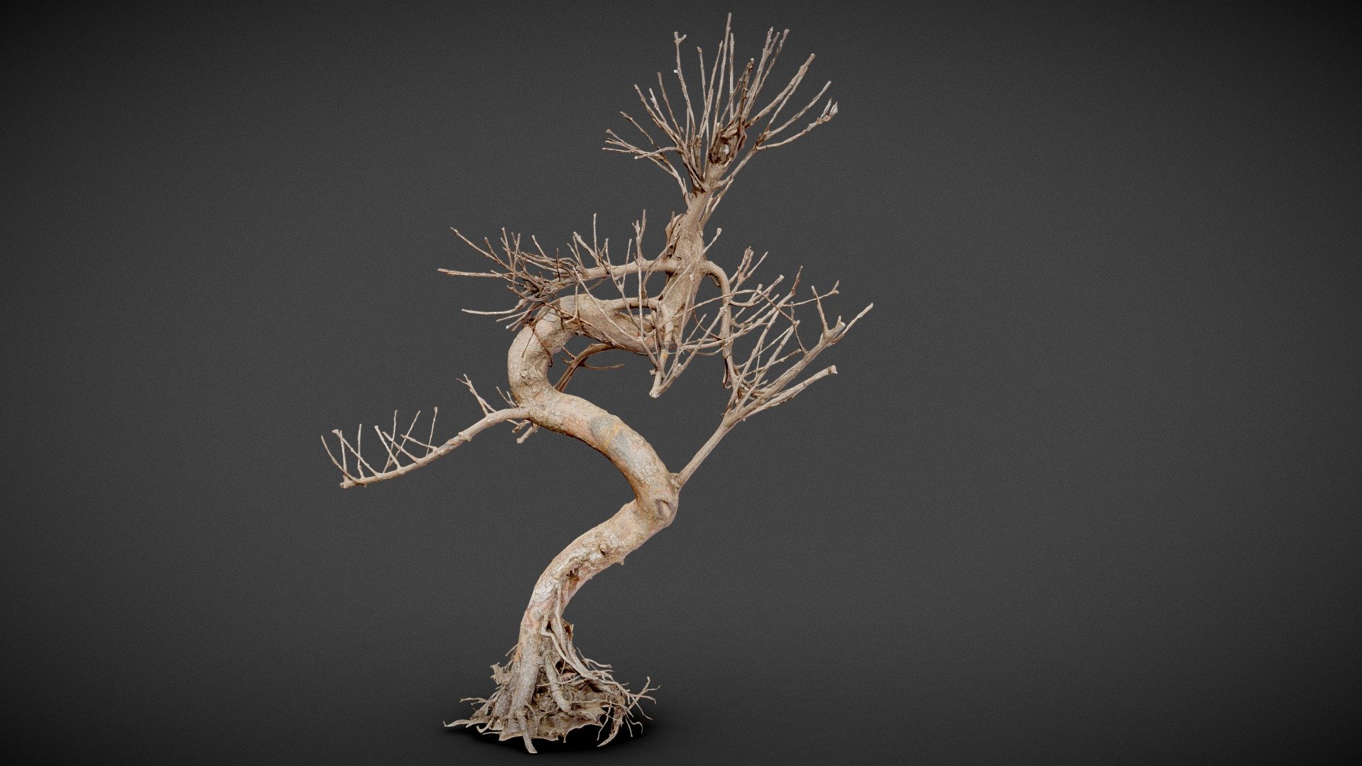 morto bonsai árvore 8 Comprar realeza livre 3d modelo poligonal miniaturas e9fddf1 3D print model - Mito3D