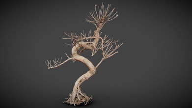 morto bonsai albero 8 acquistare royalty gratuito 3d modello poligonale miniature e9fddf1 3d print model - Mito3D