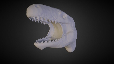 dinosaur head - 3d model brosif lentzmarseill 273f720 3d print model - Mito3D