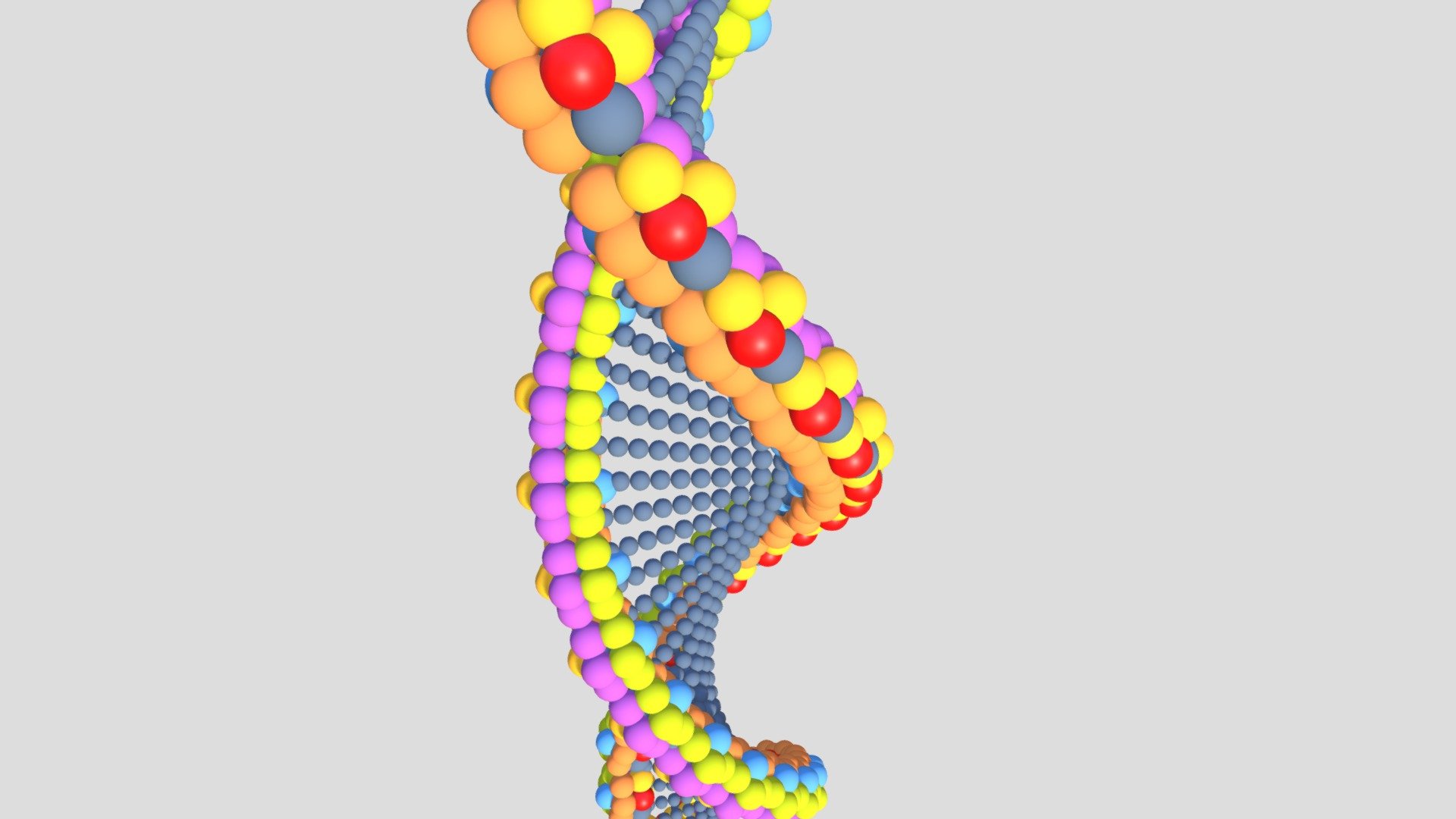 dna-01 - buy-royalty-free 3d model giimann 347a905 dna-3d-Modell 3D print model - Mito3D