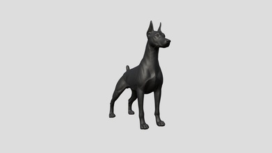 Doberman Pinscher köpek satın almak telif Bedava 3d model mj bronzlaşmak mjtan Evcil Hayvan Bekçi köpeği hayvan pinscher 3d print model - Mito3D