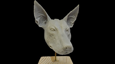 dog head allan carrasco - 3d model pierre-antoine pa f028528 3d print model - Mito3D