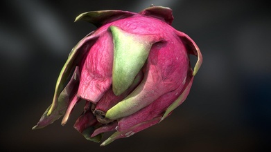 dragon fruit pitaya - buy royalty free 3d model phuson 6ef0e16 3d print model - Mito3D