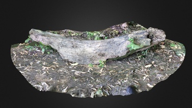 driftwood james river - download free 3d model terrie simmons-ehrhardt terrielsimmons 1081373 3d print model - Mito3D