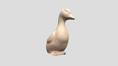 duck - download free 3d model scanmira 271798c 3d print model - Mito3D