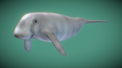 dugong - 3d model ahmad iqbal eekey10 3ae22fc younger my family went underwater world dad told me we were going see mermaids reached area like where&rsquo s mermaid oh turns out dugongs supposed alleged huh interesting also think it&rsquo pretty cool creature native singapore right please can&rsquo t handle another untrue statement 3d print model - Mito3D