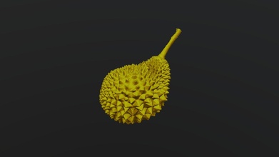 Durian download frei 3d Modell thunk3d lilyqin1 318368f 3d print model - Mito3D
