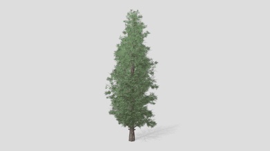 eastern red cedar tree - buy royalty free 3d model datec studio a31c102 3d print model - Mito3D