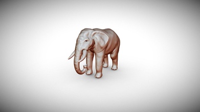 elefante charles 3d modello caiquehbarreto 759ed76 3d print model - Mito3D