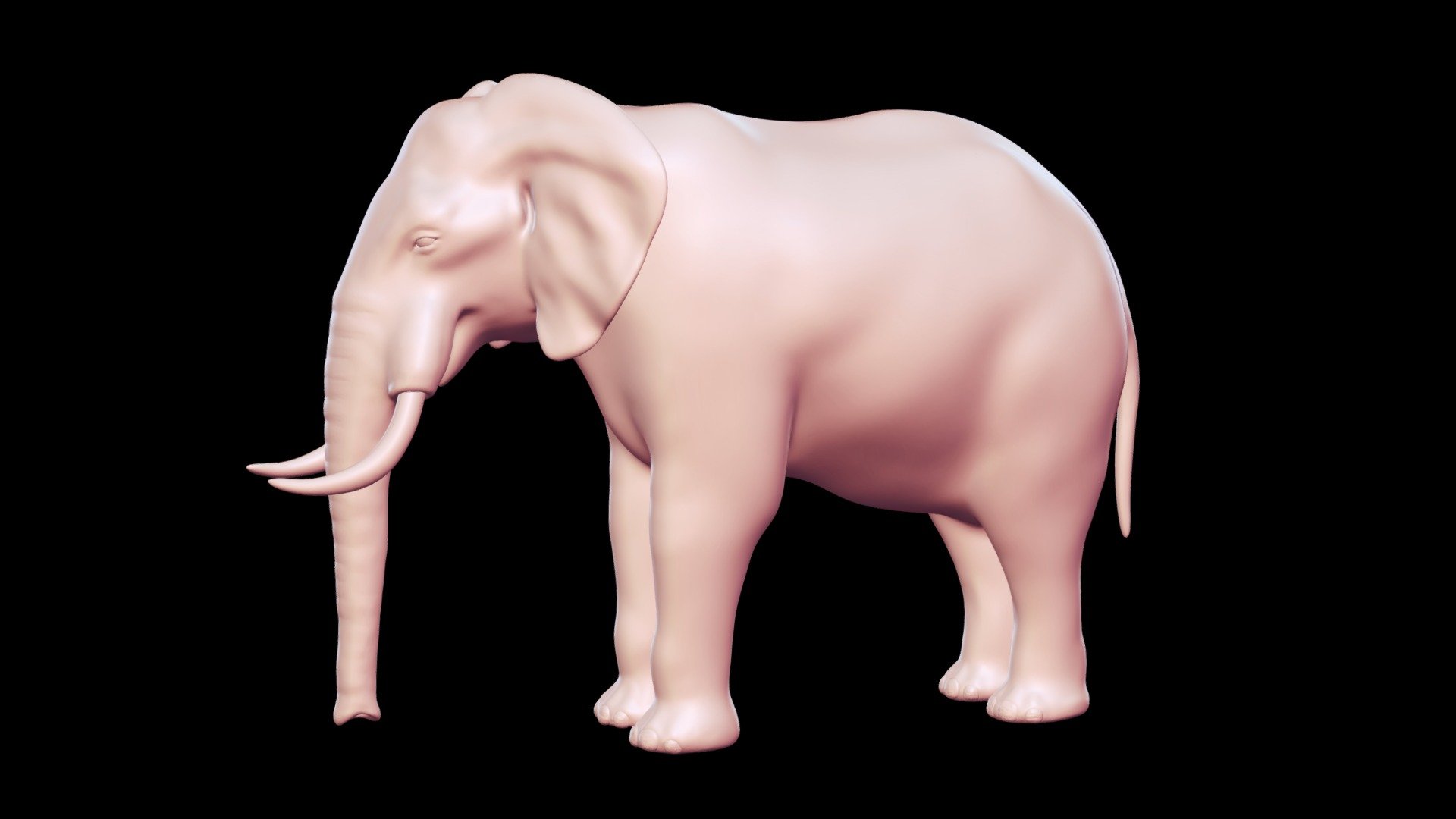 elefante basemesh 3d modello acquistare royalty gratuito contadino peternak3d cbc7714 3D print model - Mito3D