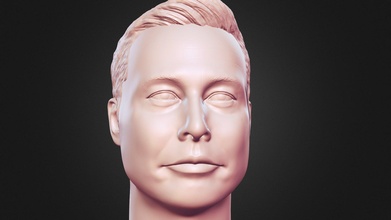 Elon misk 3d yazdırılabilir Vesika heykel satın almak telif Bedava model Tomveg Tomislavveg 731ccef 3dprintable Tesla iş işadamı şöhret Elonmusk elon musk printing uzay 3d print model - Mito3D
