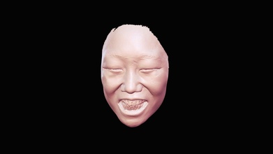 facial data teeth - download free 3d model thunk3dscanner 0936228 3d print model - Mito3D