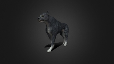 fdgk-003 walking place - buy royalty free 3d model ipoypunk c623264 rigged animated dog cycle additional textures pbr render included textureszip file 3d print model - Mito3D