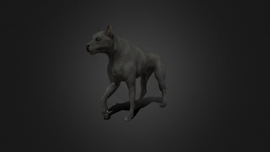 fdgk-006 walking place - buy royalty free 3d model ipoypunk a77e1ff rigged animated dog cycle additional textures pbr render included textureszip file 3d print model - Mito3D