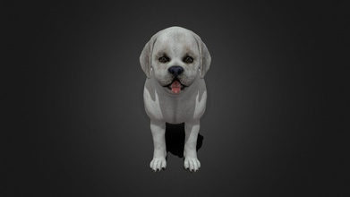 fdji-001 stehenden Hund - kaufen-royalty-free 3d model ipoypunk eff0477 manipuliert animierte Hündin 3d-Modell Stehplatz-Zyklus zusätzliche Texturen pbr gerendert enthalten zip-Datei 3d print model - Mito3D