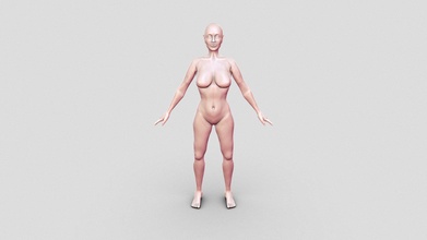 female anatomy base mesh - buy royalty free 3d model kyle degroot art kyledegrootart a001de4 3d print model - Mito3D