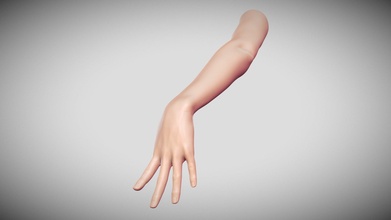 hembra brazo pose 2 comprar realeza gratis 3d modelo rumpelstiltskin cuerpo stl esculpir anatomía humanoide personas figura impresión realista mujer imprimible listo imprimir 3d print model - Mito3D