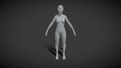 fêmea corpo base malha 3d modelo Comprar realeza livre 3ddisco ee7c009 cara anatomia biologia braço perna pé tronco cabeça 3d print model - Mito3D