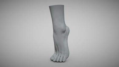 hembra pie comprar realeza gratis 3d modelo zstuff rumpelstiltskin 3aef8d7 cuerpo stl esculpir anatomía humanoide impresión personas figura pierna pies mujer imprimible 3d print model - Mito3D