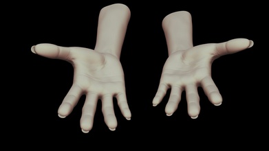 female hands 11 - buy royalty free 3d model rumpelstiltskin rumpelshtiltshin 1f19838 high poly sculpt created zbrush ready printing obj file format hope you like check out my profile see other arms models 3d print model - Mito3D
