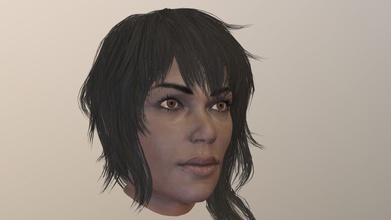 female head 2 - buy royalty free 3d model slayver ecdc824 lowpoly pbr textures verts 13 138 tris 15 554 resolution 2048x2048 png-format package contains pack png tga-format character base mesh maya obj fbx stl blend 3dmax format file marmoset also toolbag scene animated shader setup assigned 3d print model - Mito3D