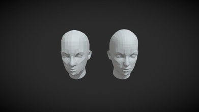 female heads low-poly 3d model - buy royalty free 3ddisco body face eye sculpt base anatomy mesh portrait ear realistic nose head woman human-head female-head base-mesh character girl lowpoly bust superficial-anatomy 3d print model - Mito3D