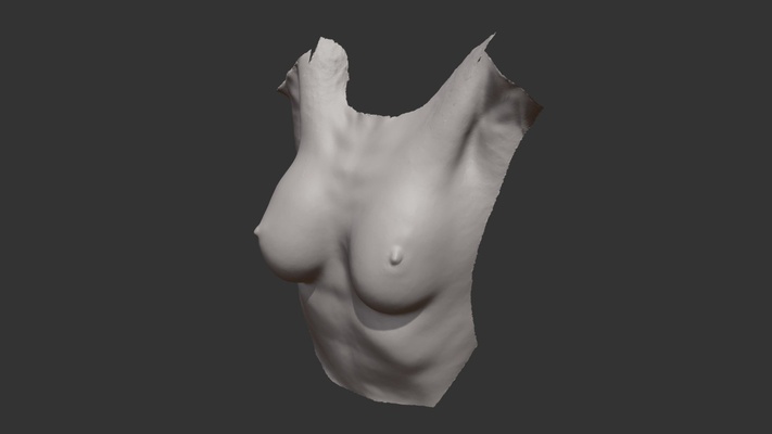 female torso - buy royalty free 3d model by paul bourke pbourke breast human 3d print model - Mito3D