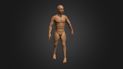 figure body - download free 3d model ecooper1 4ee735b 3d print model - Mito3D