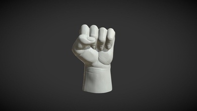 Faust Hand Kaufen Lizenzgebühren frei 3d Modell Skazok Anatomie Palme Arm Finger Griff 3d print model - Mito3D