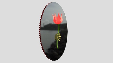 flower-from-mirror - download free 3d model micropalaeontology 3d4e31d 3d print model - Mito3D