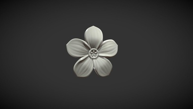 flower - buy royalty free 3d model skazok e40e0bd plant herb nature petals forget-me-not 3d print model - Mito3D