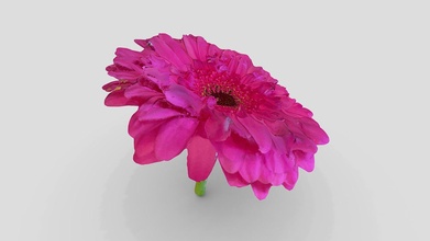 flower - download free 3d model qlone 5efa23f 3d print model - Mito3D