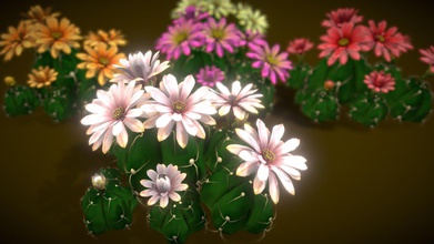 flower gymnocalycium horstii - buy royalty free 3d model vustudios 1f76fde high quality optimized unity game engine mobile optimize scene big pack cartoon colections over 5 types color all objects ready use your visualizations 1024x1024 texture maps poly count average 48905poly 90523 tris report asset 3d print model - Mito3D