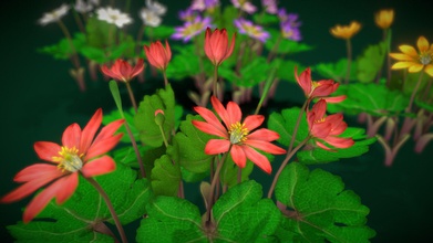 flower sanguinaria canadensis - buy royalty free 3d model vustudios 03fc66c 3d print model - Mito3D