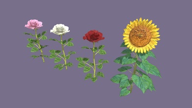 flowers rose sunflower - download free 3d model nick2046 c9def27 3d print model - Mito3D