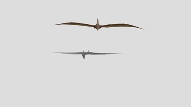 flying pterodactyl - download free 3d model pitchayutiq 6efc9c7 3d print model - Mito3D