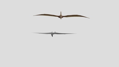 fliegend Pterodaktylus download frei 3d Modell Pitchayutiq 6efc9c7 3d print model - Mito3D