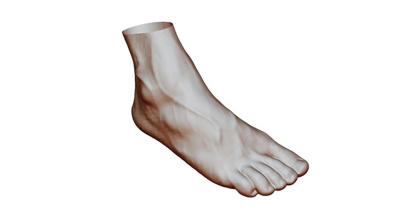 foot scanned - buy royalty free 3d model skanedo leg bodyscan orthopedic scann3d 3dscan medical 3d print model - Mito3D