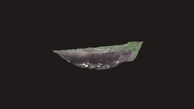 forense clandestino tumba 3d modelo palmadita randolph quinney prandolph fa281c3 3d print model - Mito3D