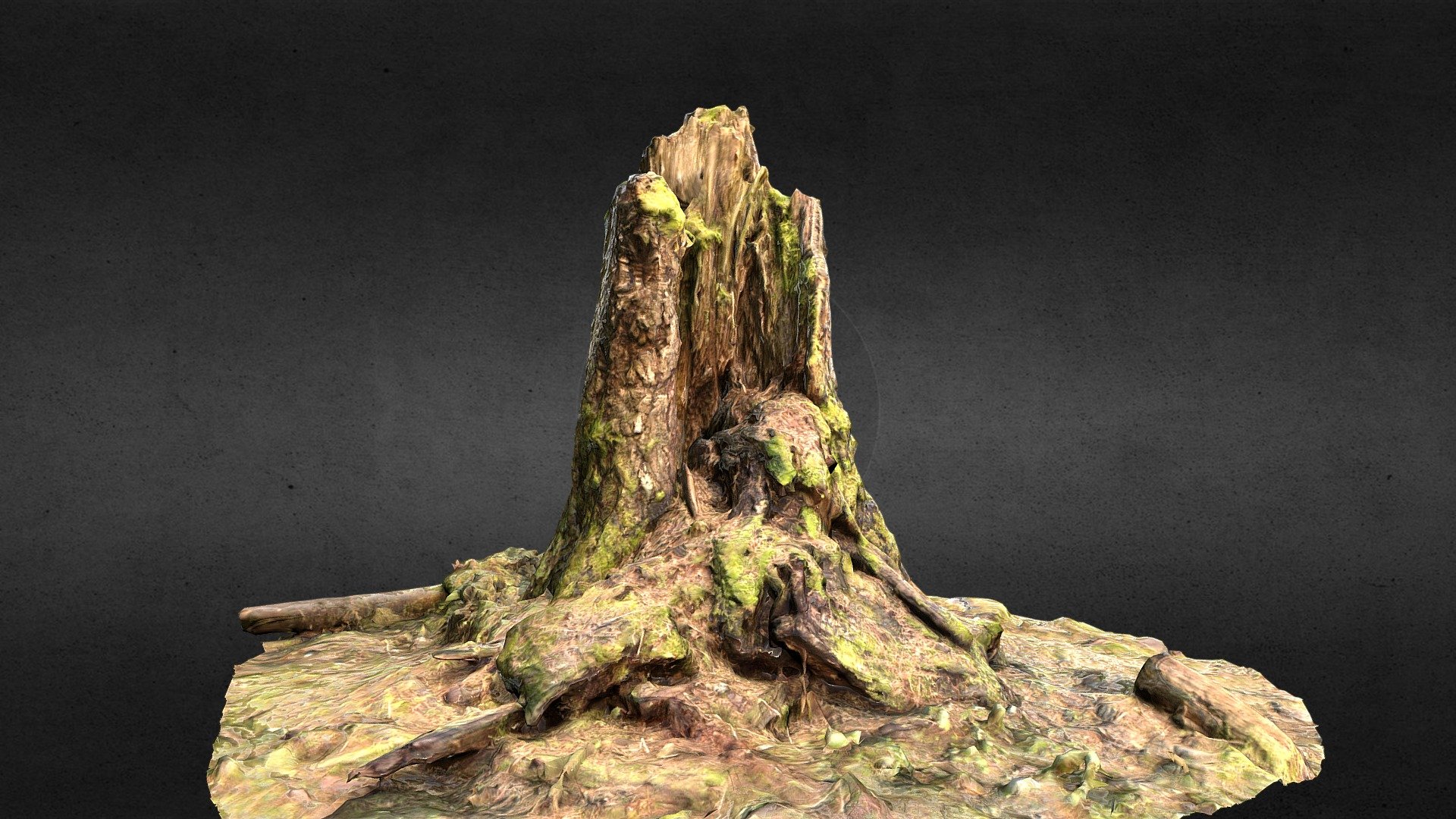 Wald-stumpf - kaufen Sie royalty-free-3d-Modell vr-goodscom 5b51804 Photogrammetrie-3d-scan-Wald-Baumstumpf Spiel Ansicht https youtuwerden o2di-y1fyek Wald-Baumstumpf 3D print model - Mito3D