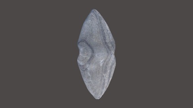 fr061 late archaic glacial kame - download free 3d model bsu aal 6a01e22 3d print model - Mito3D