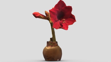 free flowering bulb - download 3d model grrhero 098a365 3d print model - Mito3D