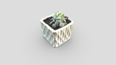 free small succulent planter - download 3d model grrhero 7ff3e67 3d print model - Mito3D