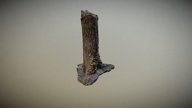 fungus stump - 3d model alex truong alexltruong cf60bae created using agisoft zbrush maya later placed forest enviroment my capstone 3d print model - Mito3D