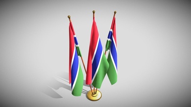 Gambia Flagge Pack Kaufen Lizenzgebühren frei 3d Modell Dragosburian e120bcd 3d print model - Mito3D