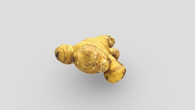 ginger 3d scan - download free model tanophotogrammetry 1eb5a38 3d print model - Mito3D